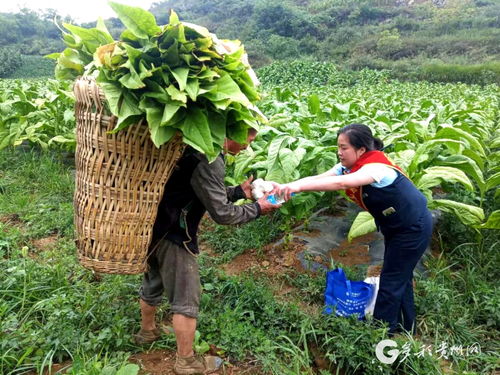 初心璀璨 文明花開