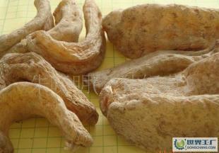 供應(yīng)產(chǎn)地直供深山優(yōu)質(zhì)出口級(jí)干天麻!_醫(yī)藥、保養(yǎng)_世界工廠網(wǎng)中國(guó)產(chǎn)品信息庫(kù)