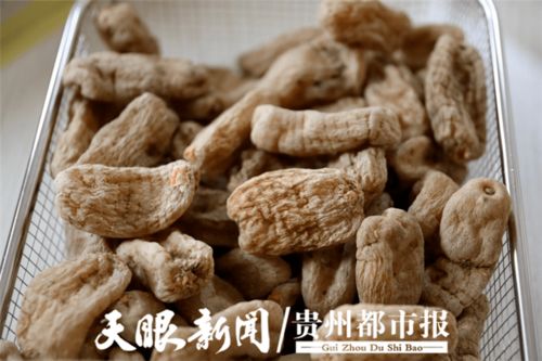 協(xié)與攜的變奏 黔貨出山進(jìn)軍營(yíng) 溢出輻射效應(yīng)初顯