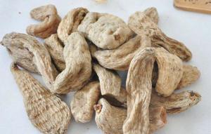 藍(lán)田南山天麻