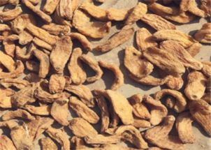 天麻的功效、食用方法與禁忌人群