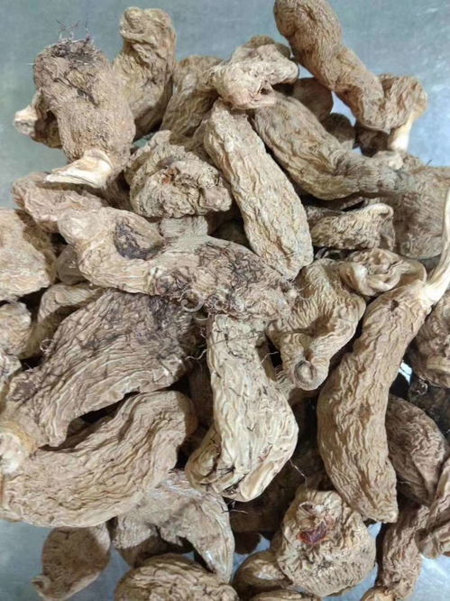 野生天麻的功效與主治